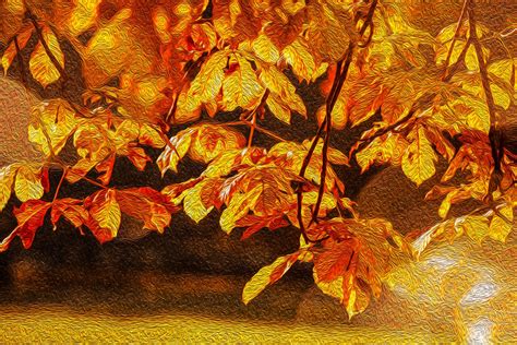Oil Painting Autumn Leaves Free Stock Photo Public