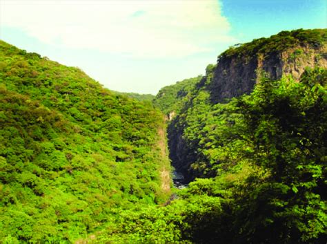 The treasure of the sierra madre is set in the remote sierra madre mountain in the mexico border. Sierra Madre Occidental. Tropical dry forest at Barranca ...