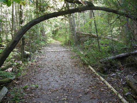 Rattlesnake Point Conservation Area Milton All You Need To Know