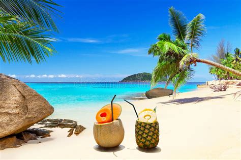 Drinks On The Tropical Beach Stock Image Image Of