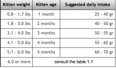 It is difficult to create a chart that has exact weights because the healthy weight for a cat can vary with the size, sex, age and breed. CATS: Exotic Shorthair cat