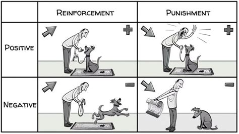 Skinners Operant Conditioning Rewards And Punishments Sprouts Videos