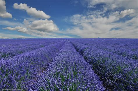 69 Provence Wallpapers Wallpapersafari