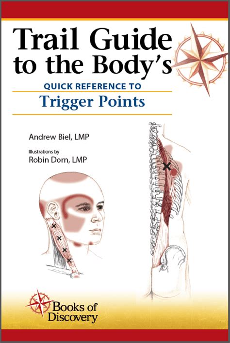 Trail Guide To The Body 6th Edition Anatomy Trains