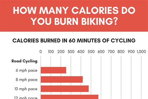 Calories Burned Biking Calculator Inch Calculator