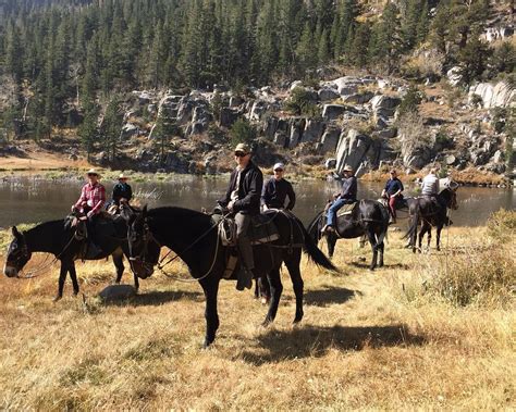 The Best Mammoth Lakes Horseback Riding Tours Updated 2024