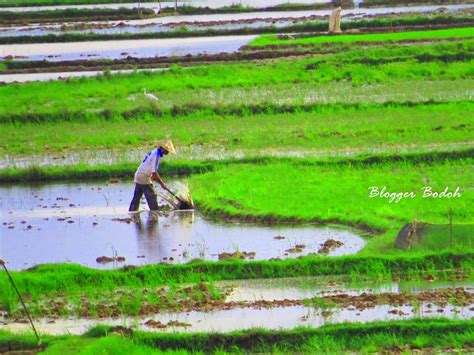 Produk ini mereka namai sepeda cangkul ergonomis. 99 Gambar Petani Membawa Cangkul Kartun | Cikimm.com