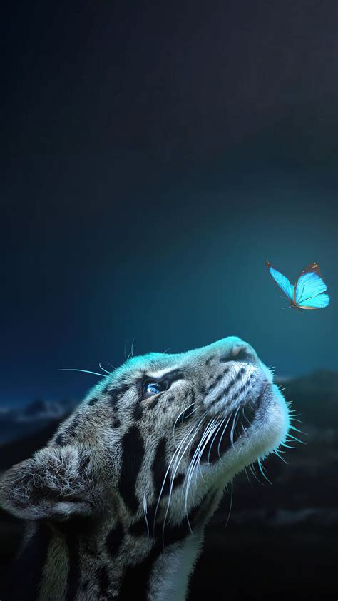 Leopard Butterfly Animals Manipulation Photoshop Hd Phone Wallpaper