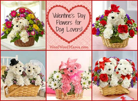1st in flowers promo codes. Valentines Day Flowers For Dog Lovers + 1800Flowers Promo ...