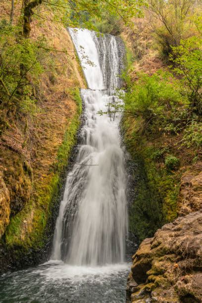Bridal Veil Falls Oregon Stock Photos Pictures And Royalty Free Images