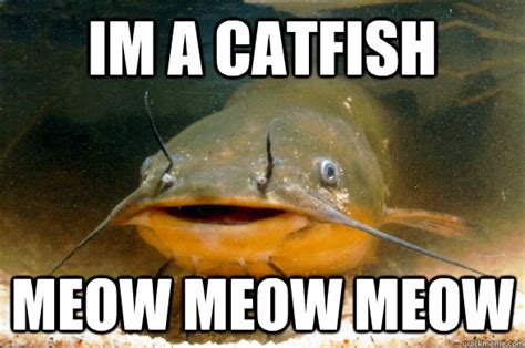 Im A Catfish Meow Meow Meow Catfish Quickmeme