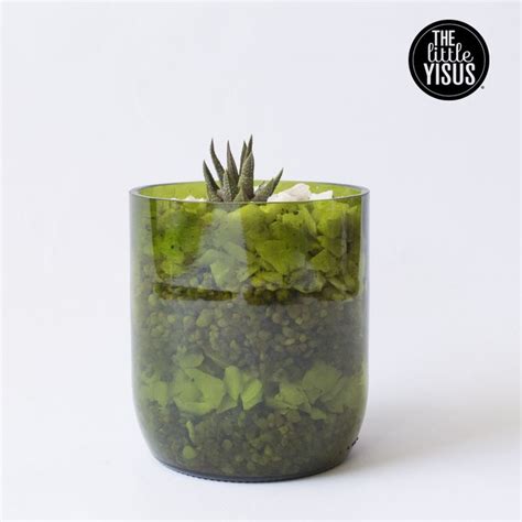 Ideal para cactus y suculentas de tamaño pequeño con los que decorar mesas y rincones de interior (6.5cm en diámetro. Macetas hechas con botellas de vidrio cortadas! the little ...