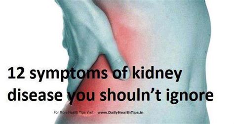 World Of Information Symptoms Of Kidney Disease You Should Not Ignore