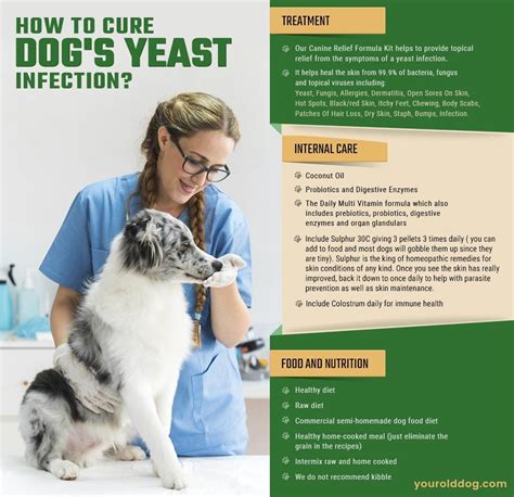 Nutrathrive, nutrabites, juve flex, canine detox Dog Fungal Skin Infection | Yeast Infection Rash On Dog's ...