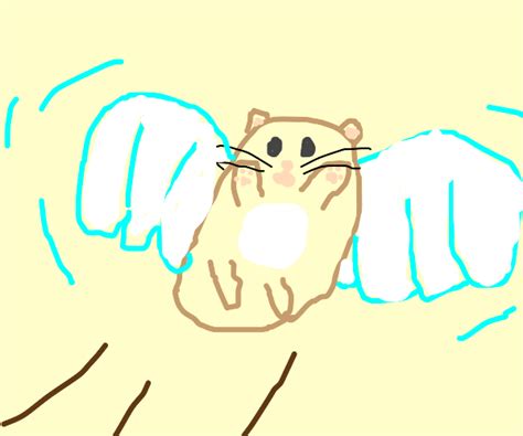 Hamster Flying Drawception