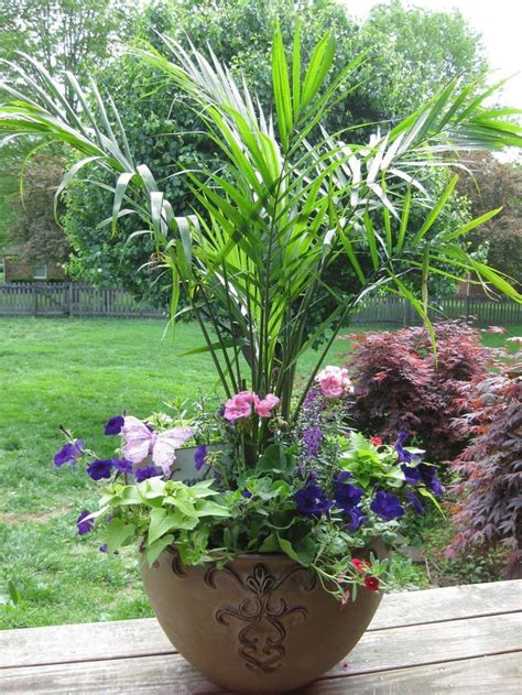 20 Patio Pot Plants Ideas