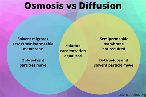 Is the movement of water molecules from a region of lower concentration to a read osmotic pressure to understand the observations better. Osmosis vs Diffusion - Definition and Examples