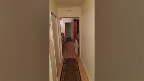 Hotdog Down A Hallway Youtube