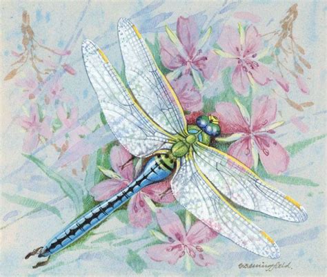 Watercolours By Gordon Beningfield Dragonfly Painting Watercolor