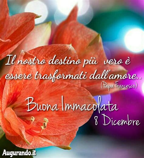 Come tale, dunque, degna di custodire in grembo gesù e di farsi veicolo per la venuta sulla terra del figlio di dio. Immagini bellissime per augurare buon Immacolata
