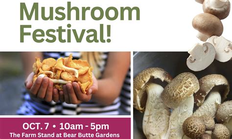 Bear Butte Gardens to Showcase South Dakota Mushrooms - South Dakota
