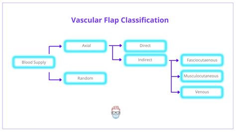 Types Classification Of Flaps