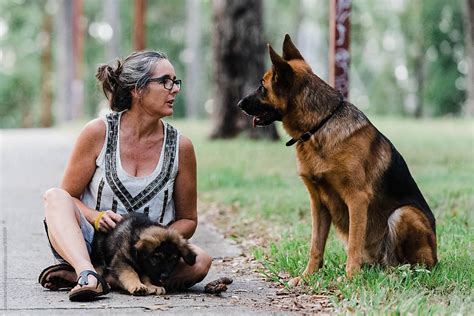 Woman Kneeling Next To German Shepherds By Samantha Gehrmann
