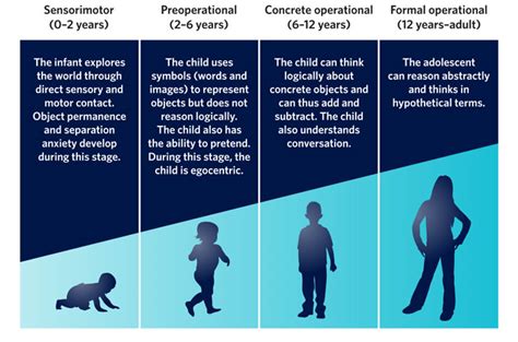 Cognitive Development Developmental Psychology