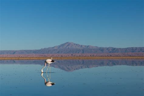 How to Photograph INCREDIBLE Water Reflections