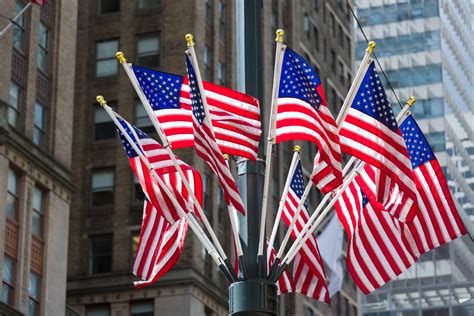 American Flags In The City Free Stock Photo Public Domain Pictures