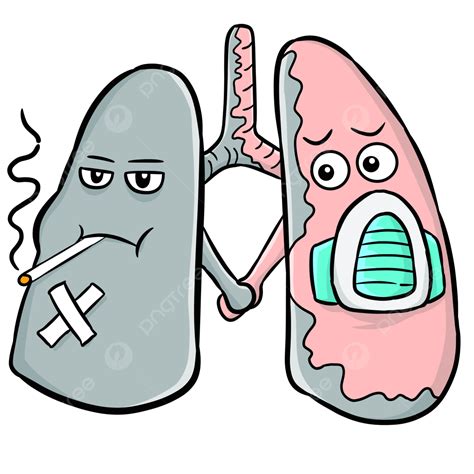 Smokers Png Picture Passive Smoker Lungs Lungs Png Lungs