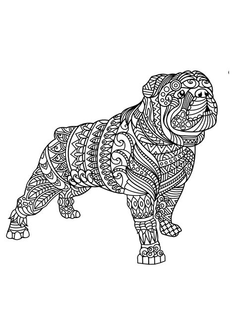 Dogs coloring pages for adults. Bulldog - Coloring Pages for Adults