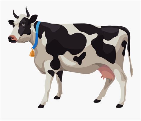 Cattle Stock Illustration Photography Cows Vector Free Transparent