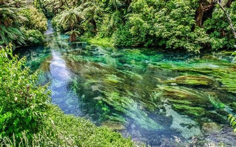 Download Wallpapers Jungle River Emerald Water Forest Green Trees