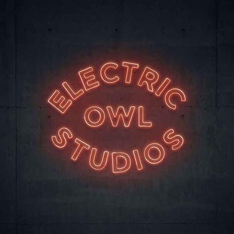 Electric Owl Studios Resource Branding