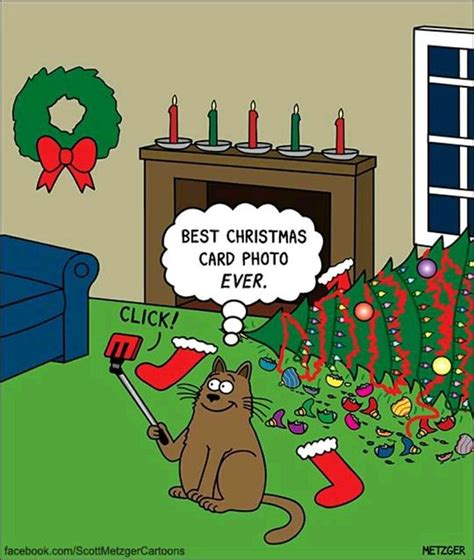 Pin By Pet Coupon Savings On Funny Cat Memes Christmas Comics