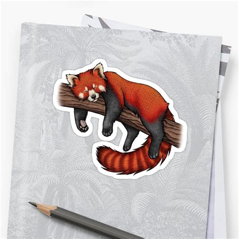 Red Panda Sticker By Lyndseygreen Redbubble