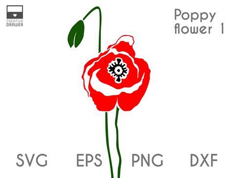 Poppy Svg for Cricut Poppy Cut File Vector SVG PNG EPS - Etsy