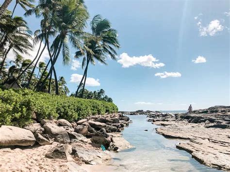 The Best Hidden Beach On Oahu For Families Snorkeling