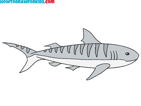 How To Draw A Tiger Shark Easy Drawing Tutorial For Kids