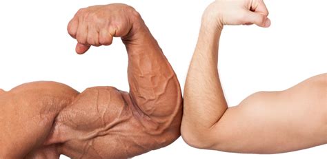 Bodybuilding And Genetics Muhdo