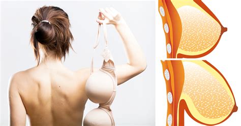 Scientists Have Just Told Women To Stop Wearing Bras This Is Why