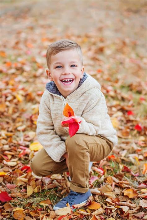 Happy Cute Little Boy In Autumn Park Among Fallen Leaves Stock Image