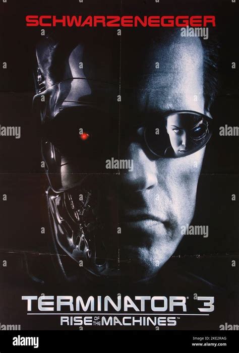 Terminator 3 Rise Of The Machines Arnold Schwarzenegger Poster 2003