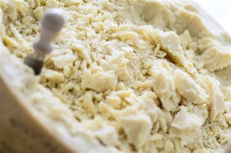 Italian Parmesan Stock Photo Image Of Cheese Fresh 32868456