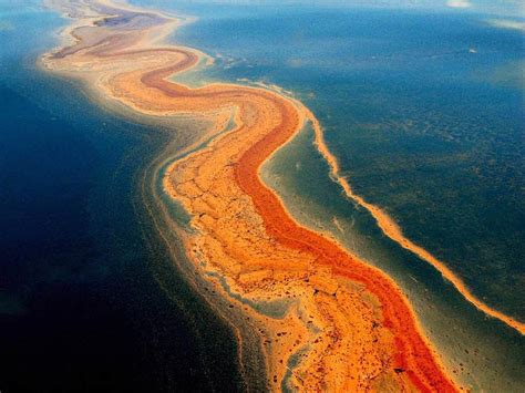 Juli 2010 flossen 800 millionen liter öl ins meer. Nach Deepwater Horizon: Wie steht's um Golf von Mexiko ...