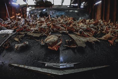 Abandoned Cadillac in a weathered barn : r/abandoned