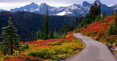 Find Fall Color 5 Great Leaf Peeping Wa Road Trips The Seattle Times