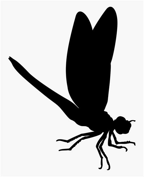 Flies Clipart Insect Wing Insects Silhouette Png Transparent Png