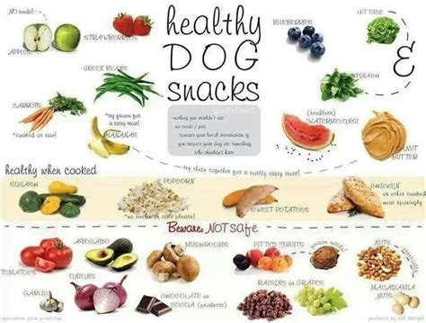 Safeunsafe Food For Dogs Healthy Dog Snacks Dog Food Recipes Dog